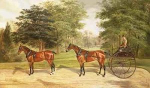 Two horses harnessed in tandem pulling a carriage 1883