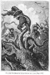 The Octopus Attacking the Nautilus