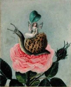 A fairy holding a leaf sitting on a snail above a rose 1817-29