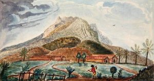 View of Mount Pelee facing South 1815