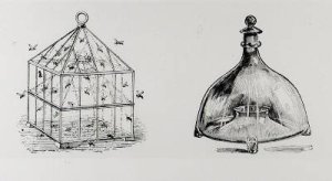 Wasp and fly traps from Thomas Mawsons The Art and Craft of Garden Making