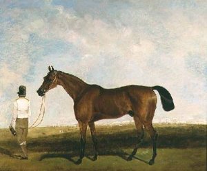 A groom leading a bay racehorse