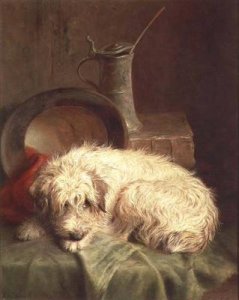 A Terrier