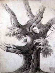 Study of a Tree 1823