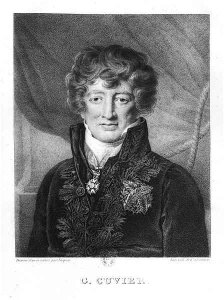 Portrait of Georges Cuvier 1769-1832