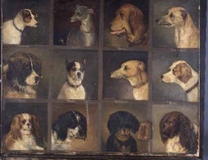 Twelve Favourite Dogs