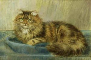 Persian Cat