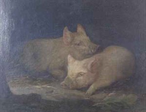 Two Prize Pigs in an Interior