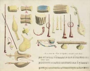 Indian Musical Instruments