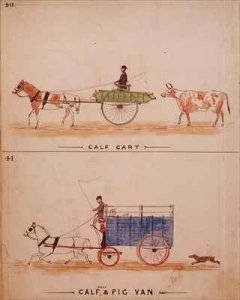 The Calf Cart and the Calf Sheep and Pig Van