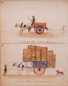 The Water Cart and the Hay Cart