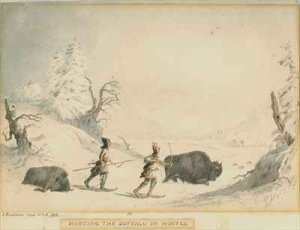 Hunting the Buffalo in Winter