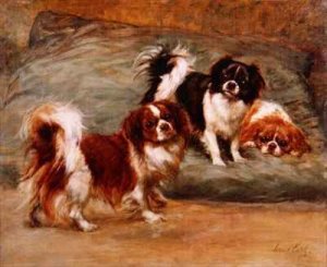 Three King Charles Spaniels on a Cushion