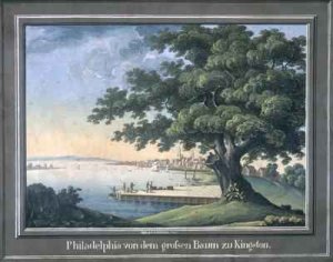 The Great Tree of Kingston with a view of Philadelphia behind