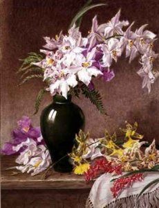 Orchids in a Vase