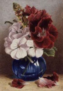 Claret and White Pelargoniums in a Blue Vase