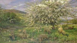 An Orchard in Wales