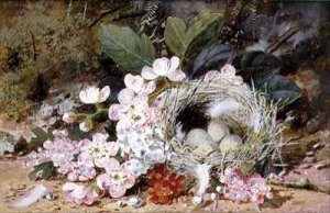 Still Life of Birds Nest with Primulas