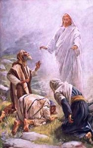 The transfiguration