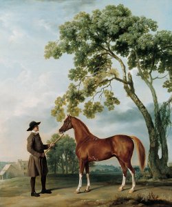 Lord Grosvenors Arabian Stallion with a Groom