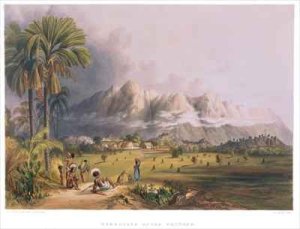 Esmeralda, on the Orinoco, site of a Spanish Mission, from 'Views in the Interior of Guiana'