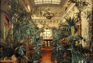 Winter Garden in the Winter Palace, St. Petersburg