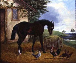 Farmyard Scene