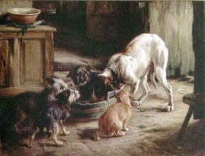 The Dogs' Dinner