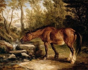 A Horse Drinking at a Stream 1838