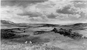 The Field of Bannockburn