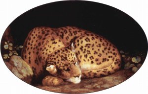 Sleeping Leopard, 1777