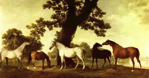 Mares by an Oak Tree