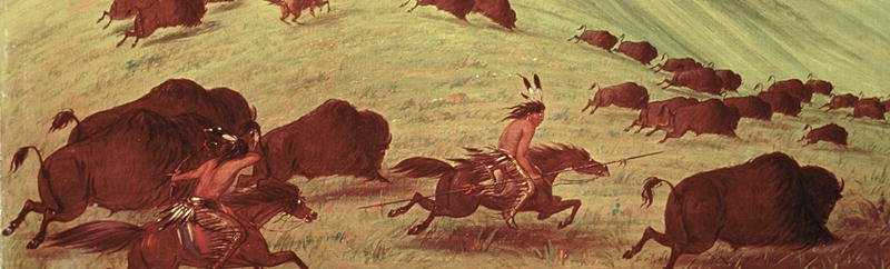 Sioux Indians hunting buffalo, 1835